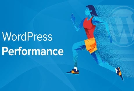 WordPress Performance Module